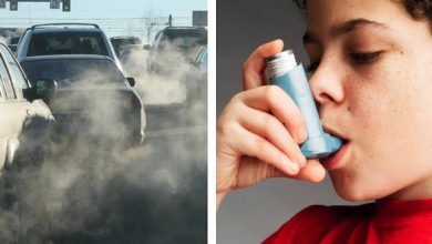 Photo of Traffic-related Pollution Causes Asthma in 2 million Kids Worldwide: Lancet