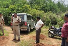 Photo of Leopard in University Campus: Search Continues